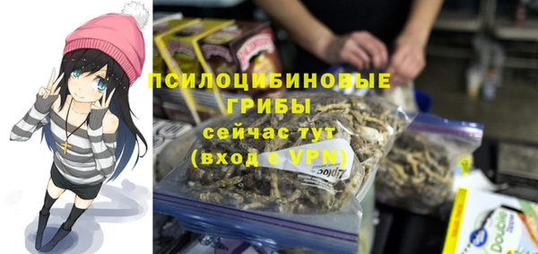 стафф Бронницы
