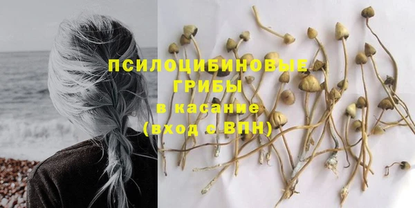 каннабис Бородино