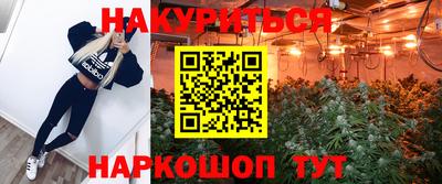 крисы Бузулук