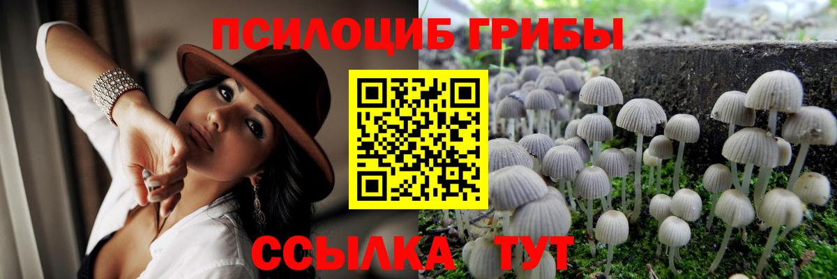 купить   Галлюциногенные грибы мухоморы  Вход с VPN  Бугульма  Псилоцибиновые грибы MAGIC MUSHROOMS 