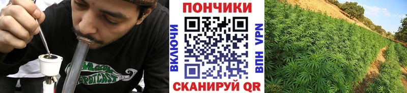 цены   Бугульма  Каннабис OG Kush 